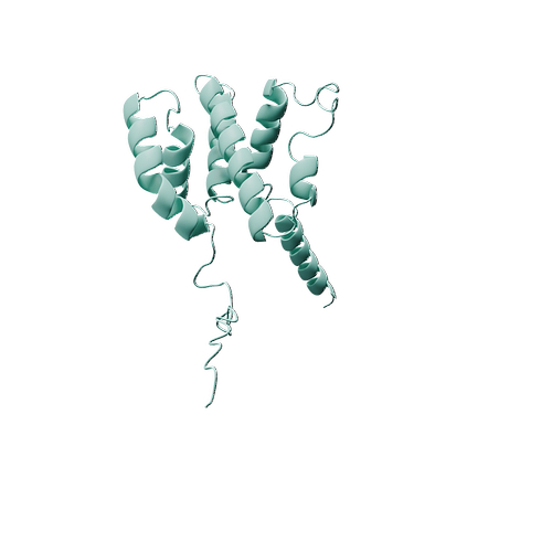 P01579-Human IFN  gamma -3d structure.jpg